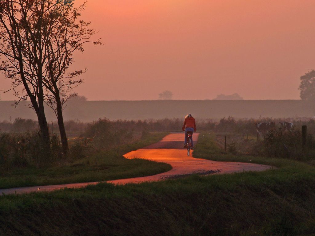 Radfahrer auf dem Weg in Richtung Deich, im Hintergrund der Sonnenuntergang, Südliches Ostfriesland.