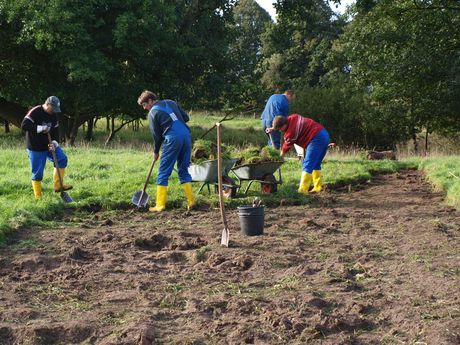 Einwohner bei Grabungsarbeiten auf einem Feld im Südlichen Ostfriesland.