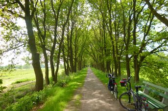 Ostfriesland Wanderweg (97 km)