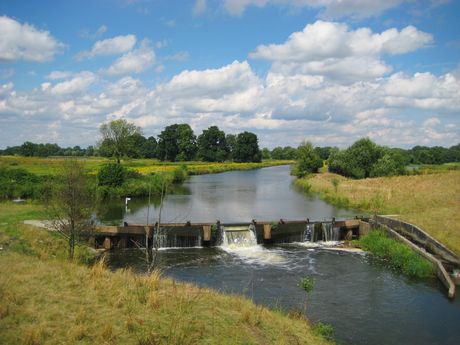 Gewässer mit Staudamm im künstlich angelegten Naturschutzgebiet Steinhorster Becken.